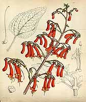  no thumbnail available