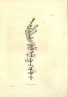  no thumbnail available