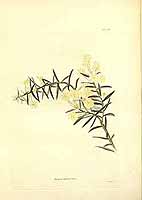  no thumbnail available