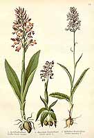  no thumbnail available