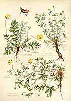  no thumbnail available