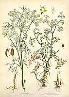  no thumbnail available