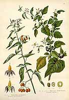  no thumbnail available