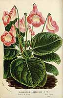  no thumbnail available