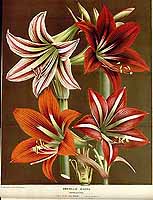  no thumbnail available