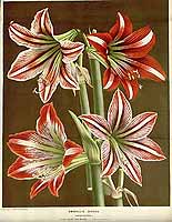  no thumbnail available