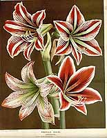  no thumbnail available