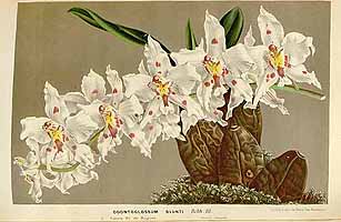  no thumbnail available