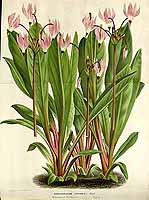  no thumbnail available