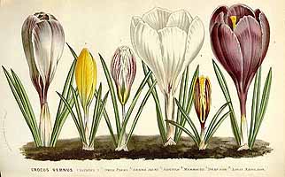  no thumbnail available