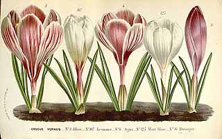  no thumbnail available