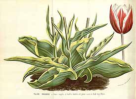  no thumbnail available