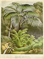  no thumbnail available