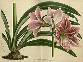  no thumbnail available