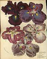  no thumbnail available