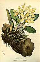  no thumbnail available