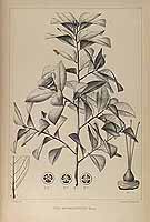  no thumbnail available