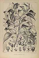  no thumbnail available