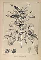  no thumbnail available