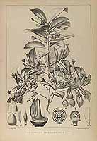  no thumbnail available