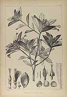  no thumbnail available