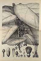  no thumbnail available