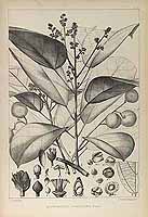  no thumbnail available