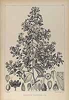  no thumbnail available