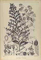  no thumbnail available