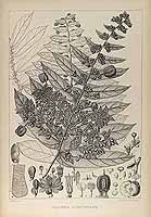  no thumbnail available