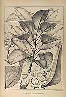  no thumbnail available