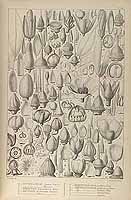  no thumbnail available