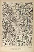  no thumbnail available