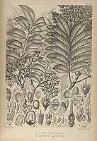  no thumbnail available