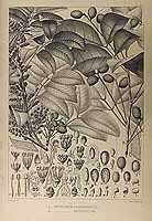  no thumbnail available