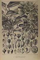  no thumbnail available