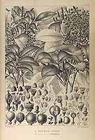  no thumbnail available