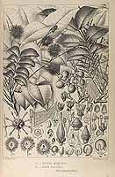  no thumbnail available