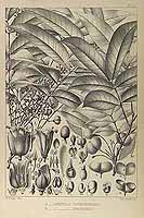  no thumbnail available