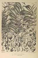  no thumbnail available