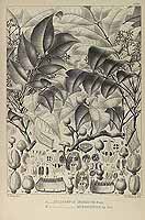  no thumbnail available