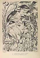  no thumbnail available