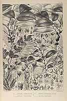  no thumbnail available