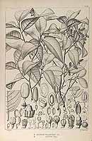  no thumbnail available