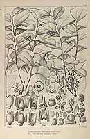  no thumbnail available