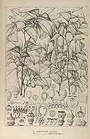  no thumbnail available