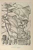  no thumbnail available