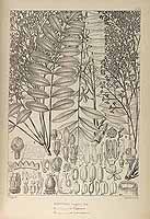  no thumbnail available