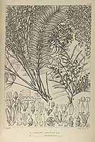  no thumbnail available