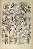  no thumbnail available